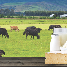 Dairy Industries - Raajratna Tubes
