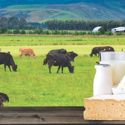 Dairy Industries - Raajratna Tubes